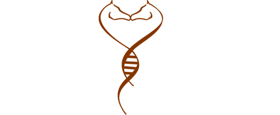 Haras des plaines