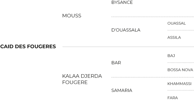Pedigree