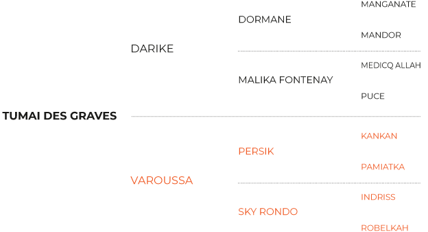 Pedigree