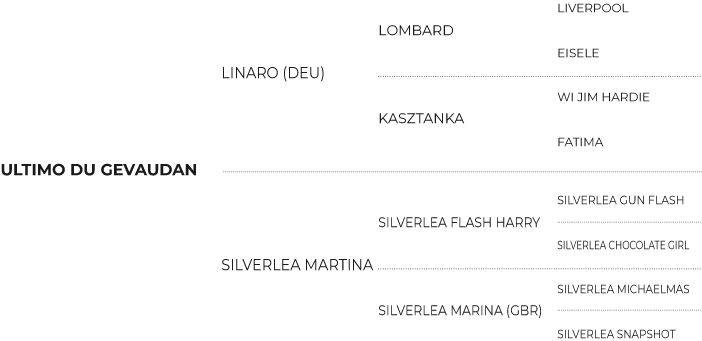 Pedigree